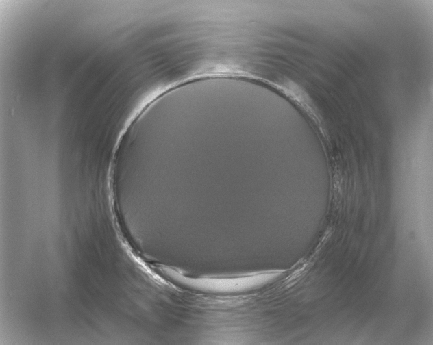 X0000054351382200508190117.png