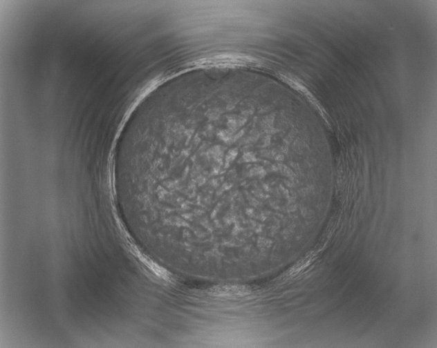 X0000055061083200508161639.png