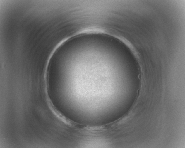 X0000054330864200508111917.png