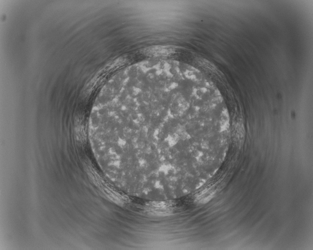 X0000054580381200508300107.png