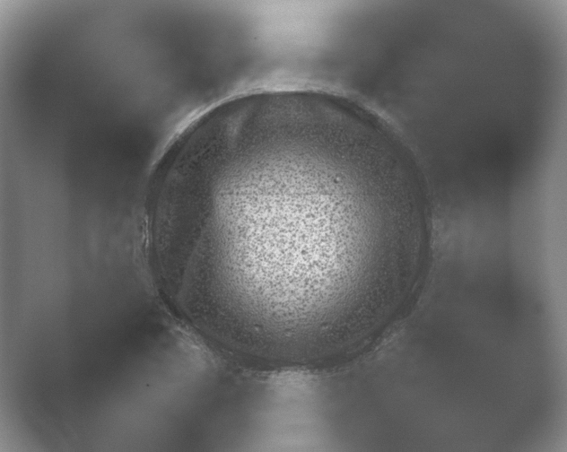 X0000052151461200507051939.png