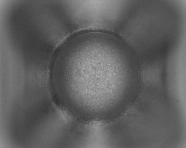 X0000052150208200507052000.png