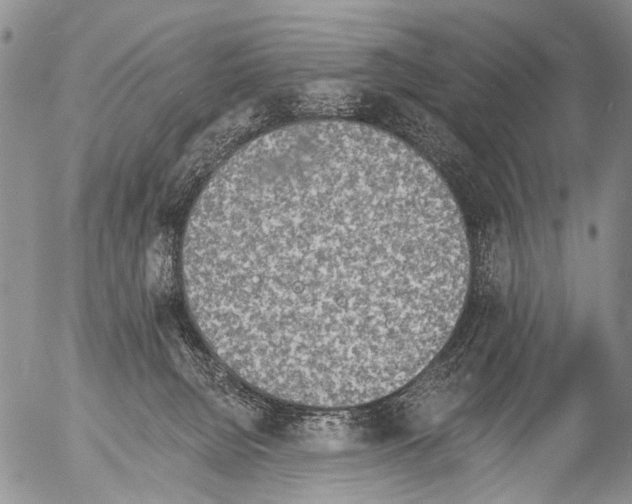 X0000054580080200508300111.png