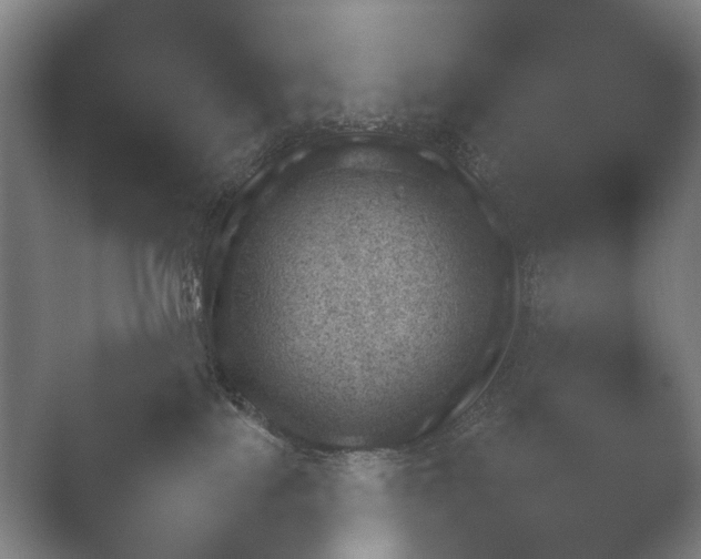 X0000052280089200507132040.png