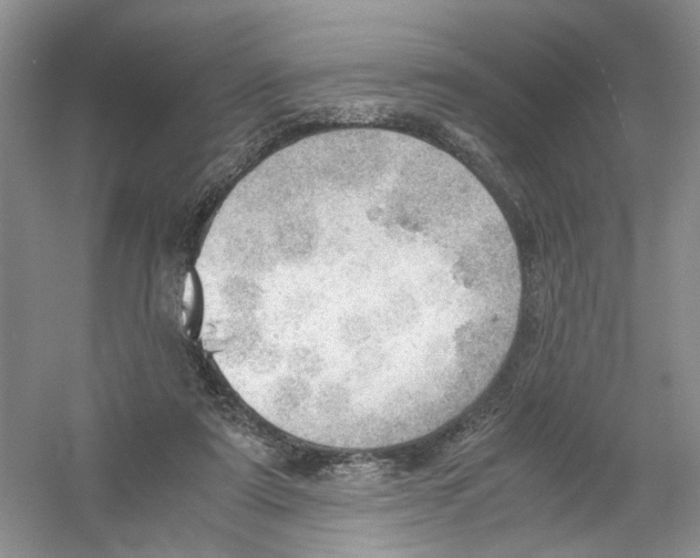 X0000054270307200508261923.png