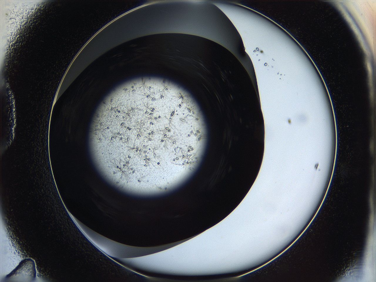 05ep_D11_ImagerDefaults_7.jpg