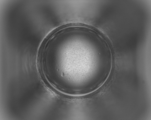 X0000052281076200507132022.png