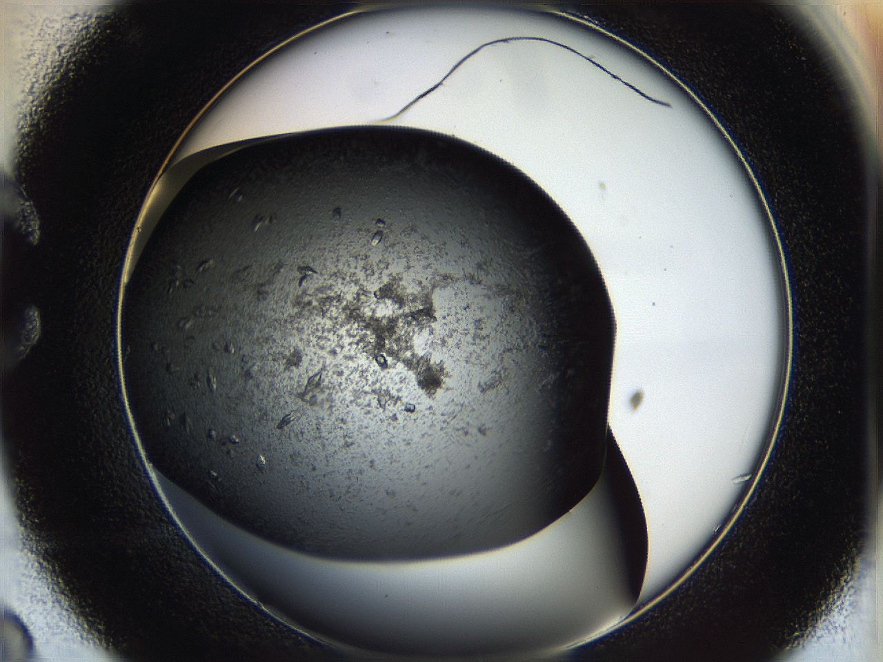 05ep_C8_ImagerDefaults_8.jpg
