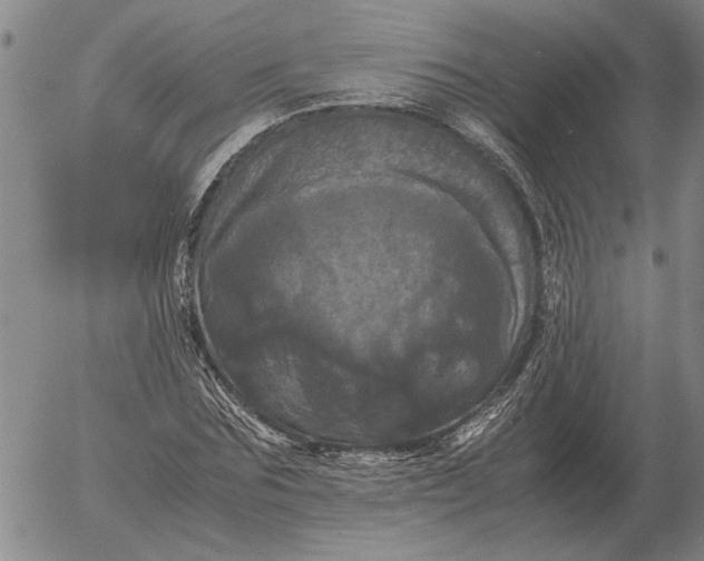 X0000054170875200508101757.png