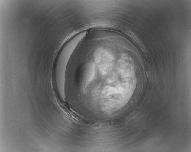 X0000055250434200509071619.png