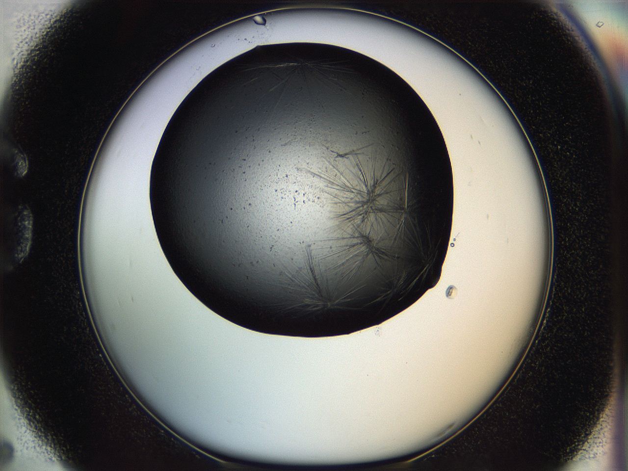 05ep_G5_ImagerDefaults_6.jpg