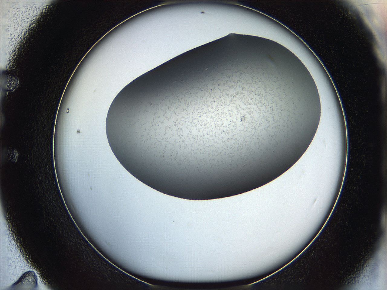 05eq_E11_ImagerDefaults_6.jpg