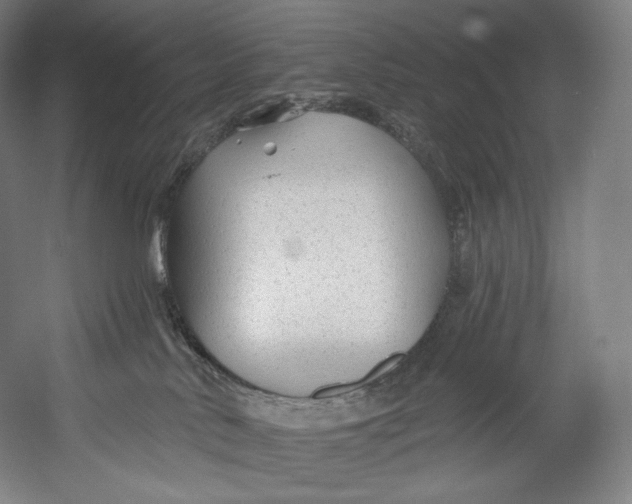 X0000055210042200508301333.png