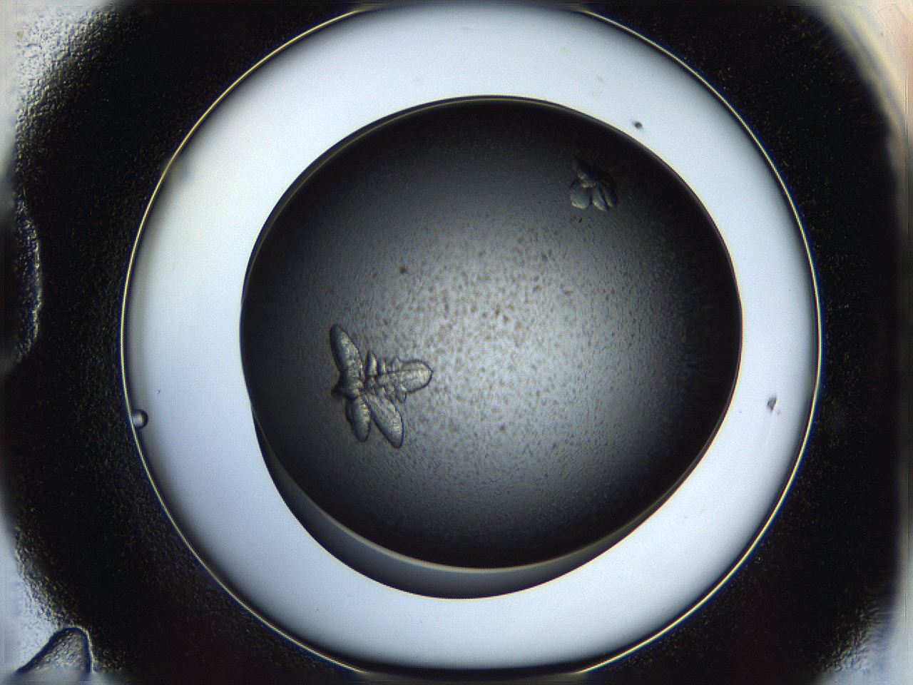 05eq_D11_ImagerDefaults_9.jpg