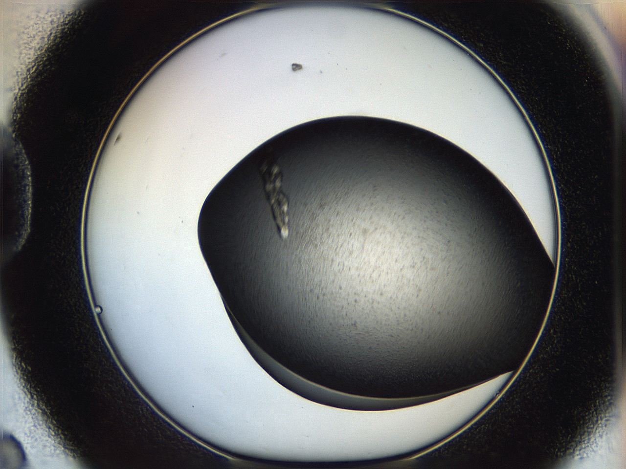 05eq_D8_ImagerDefaults_9.jpg
