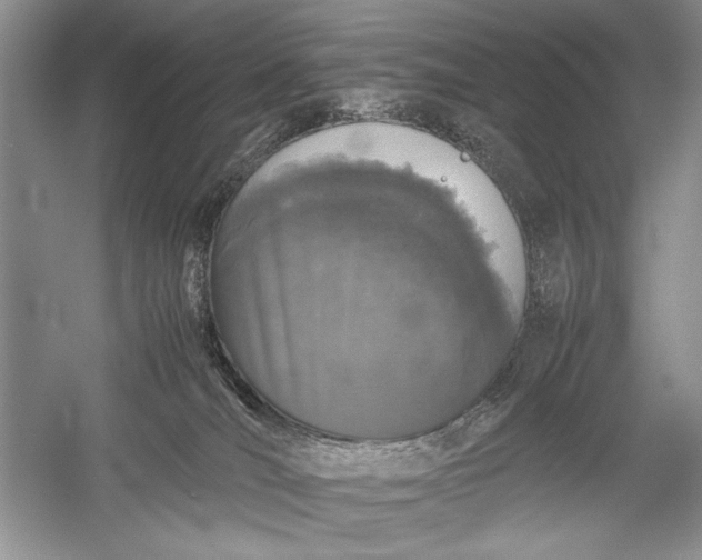 X0000055060036200508161657.png