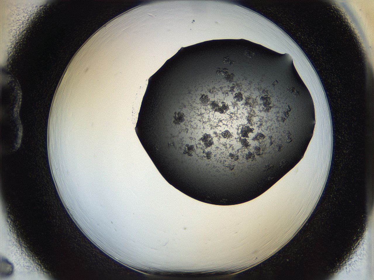 05eq_B6_ImagerDefaults_6.jpg