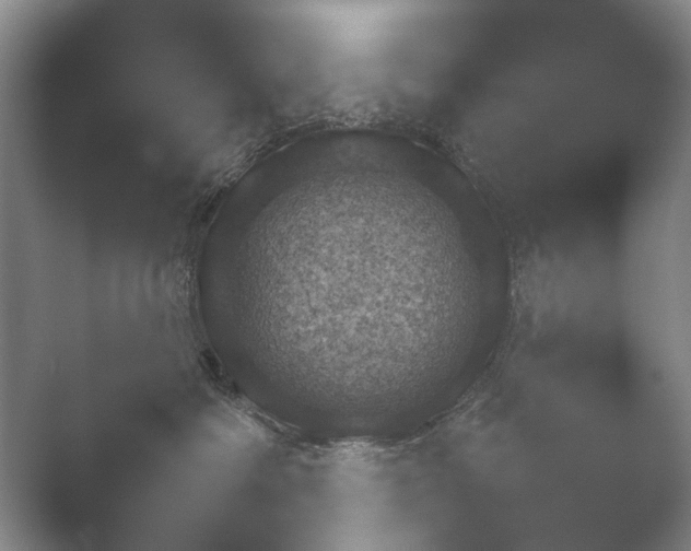 X0000052150334200507051958.png