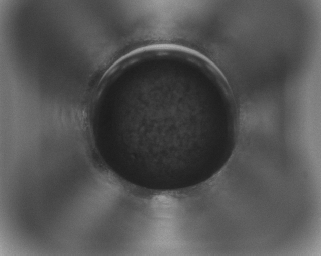 X0000054730167200508171901.png