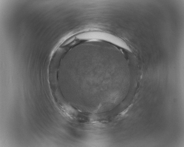 X0000054350244200508190135.png