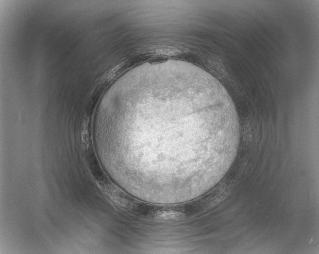 X0000054270360200508261922.png