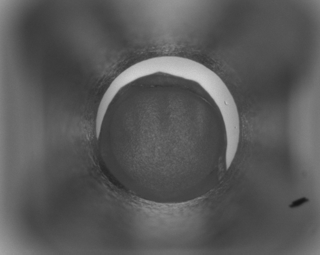 X0000051110035200507141808.png