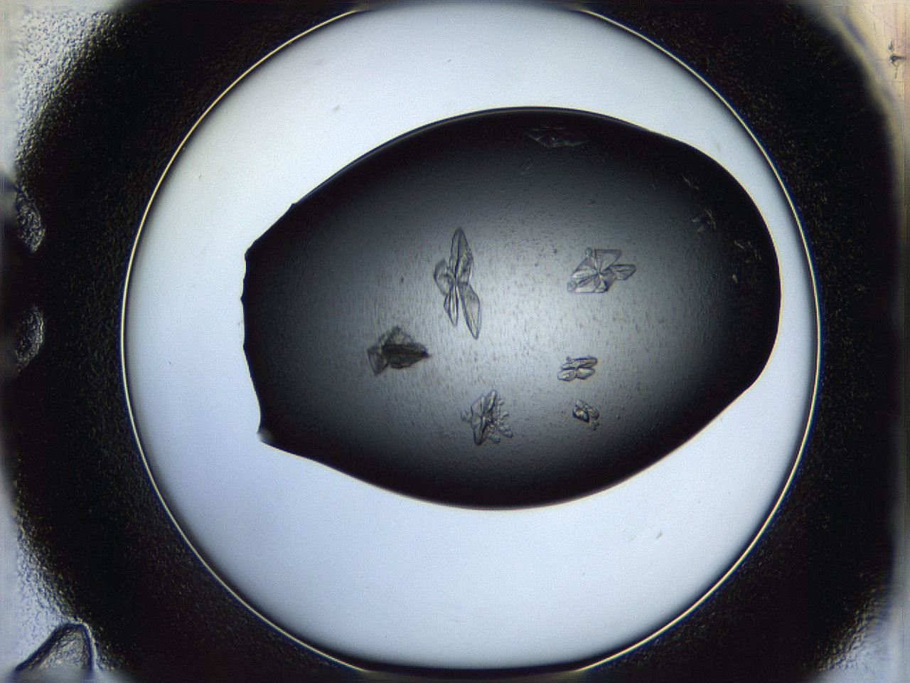 05eq_C11_ImagerDefaults_9.jpg
