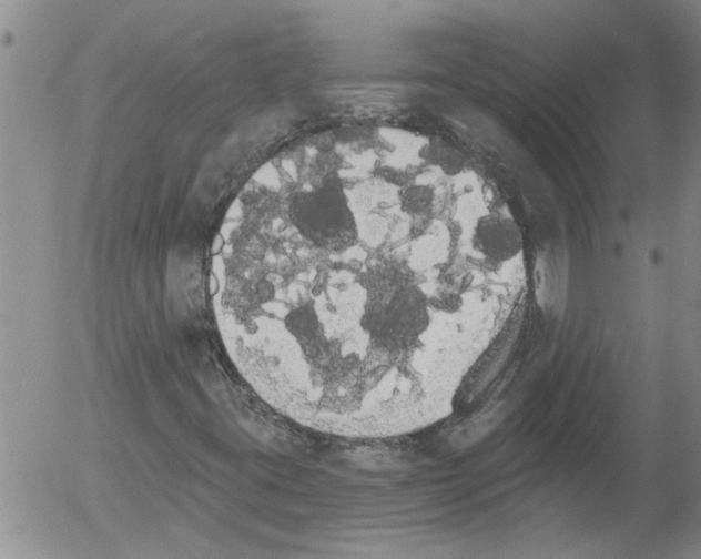 X0000054581395200508300048.png