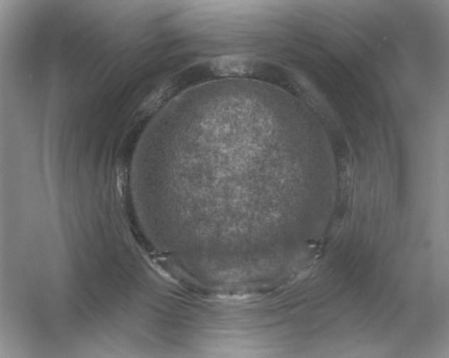 X0000054300125200508042320.png