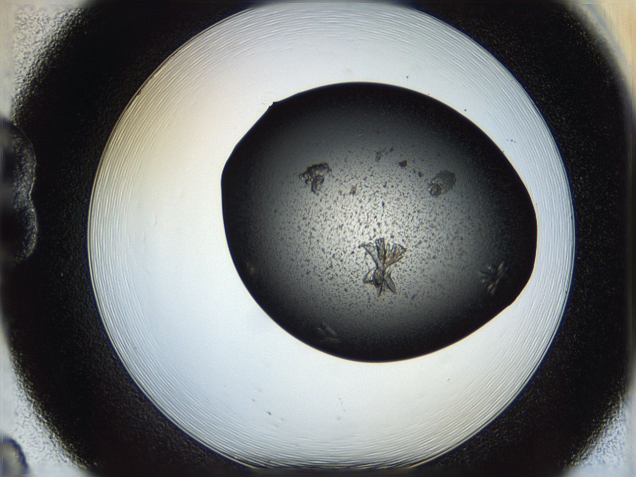 05eq_B8_ImagerDefaults_8.jpg