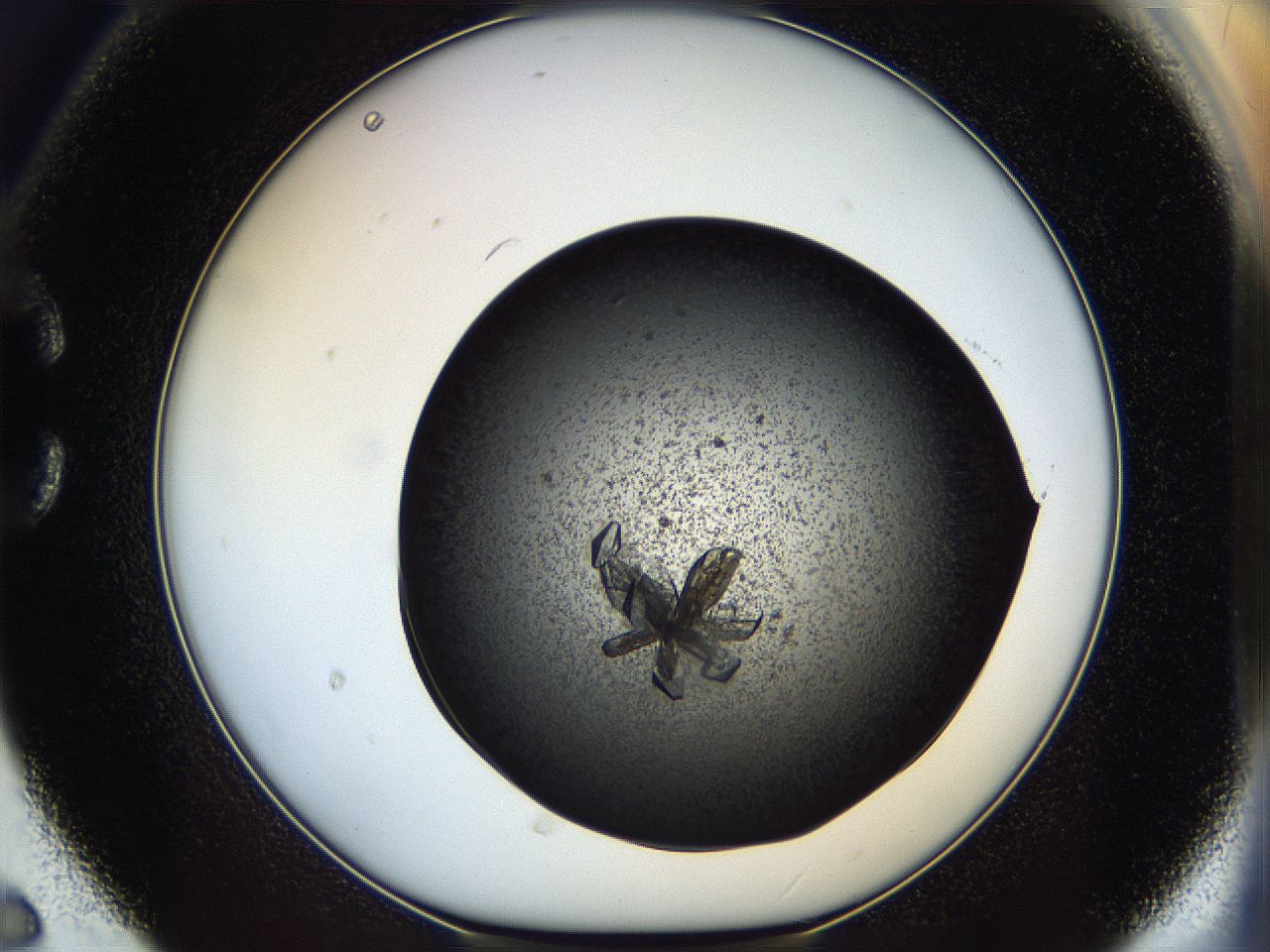05er_C6_ImagerDefaults_9.jpg