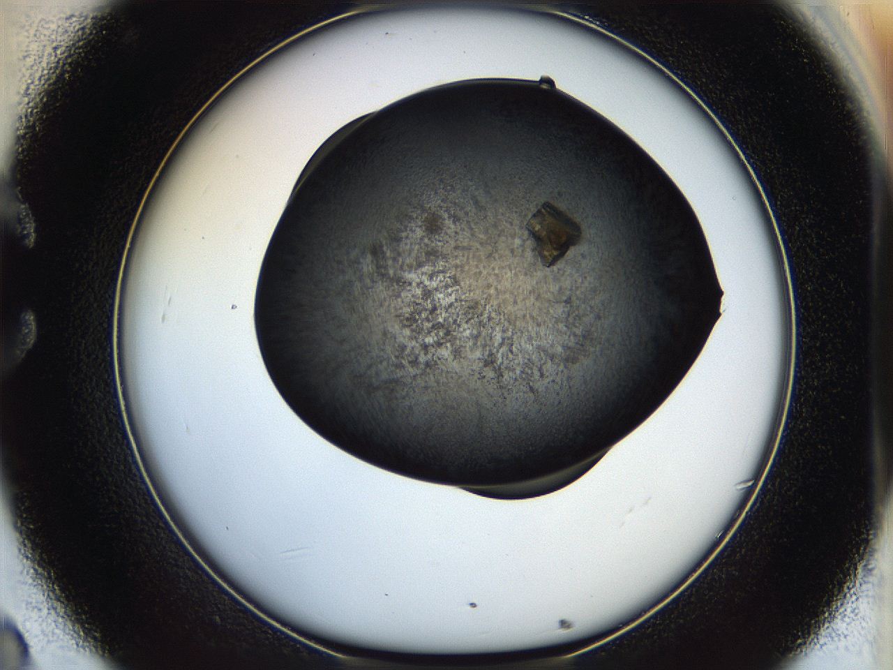 05er_C8_ImagerDefaults_9.jpg