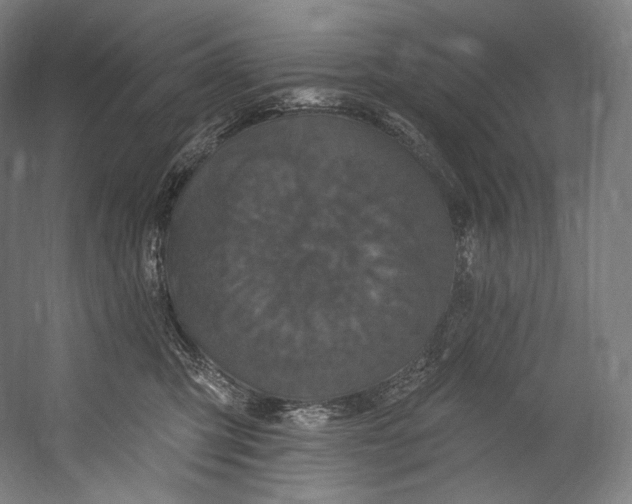 X0000055210423200508301327.png