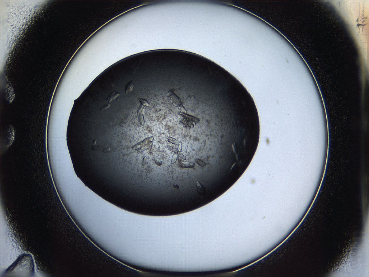 05er_C11_ImagerDefaults_9.jpg