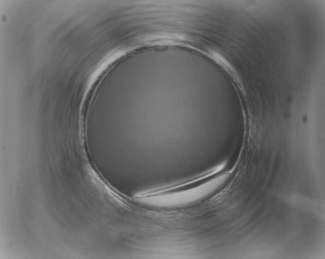 X0000054171384200508101748.png