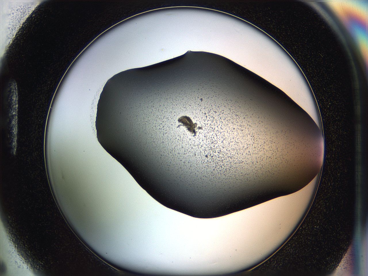05er_H5_ImagerDefaults_1.jpg