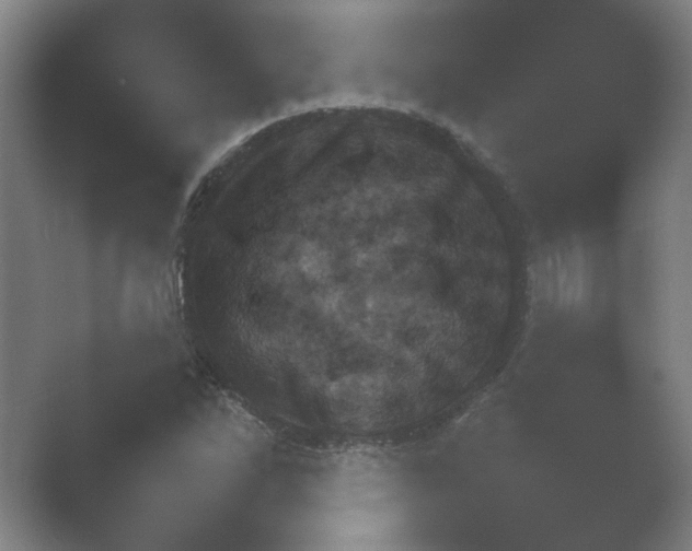 X0000054971262200509051455.png