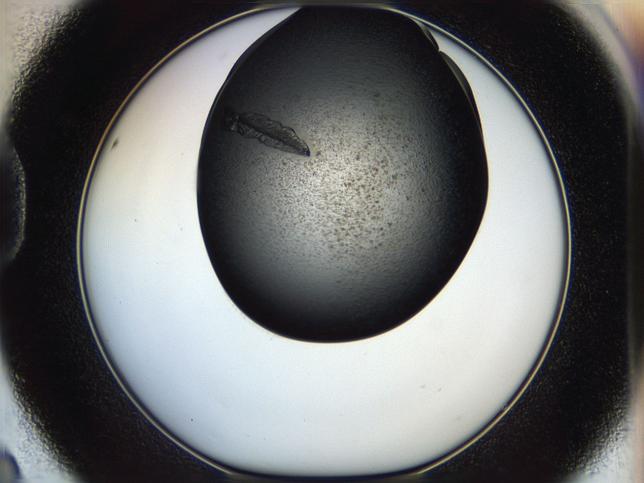 05er_D8_ImagerDefaults_9.jpg