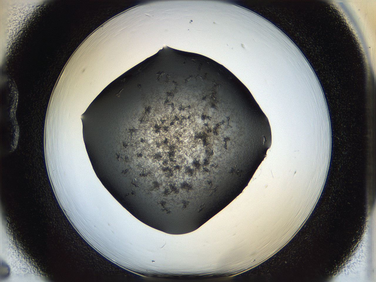 05er_B6_ImagerDefaults_6.jpg