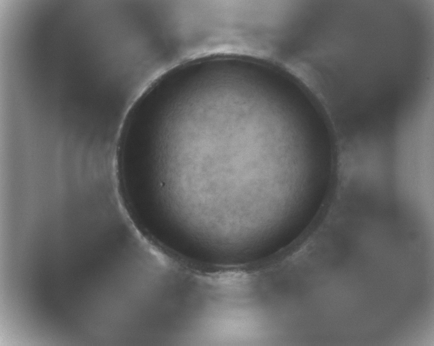 X0000054731282200508171842.png