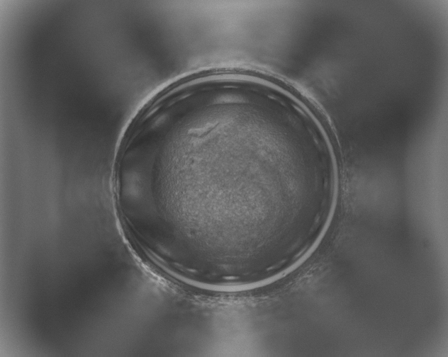 X0000052280951200507132025.png