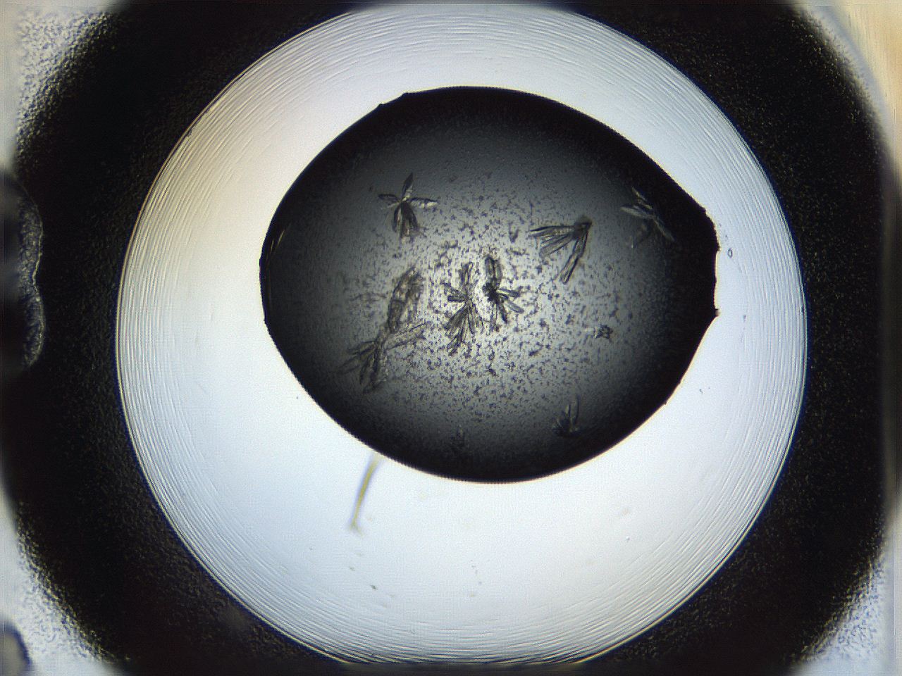05er_B8_ImagerDefaults_8.jpg