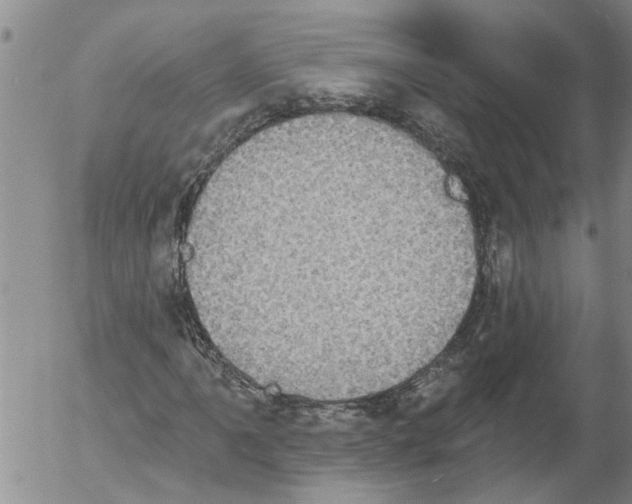 X0000054581061200508300055.png