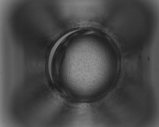 X0000043160153200411300954.png