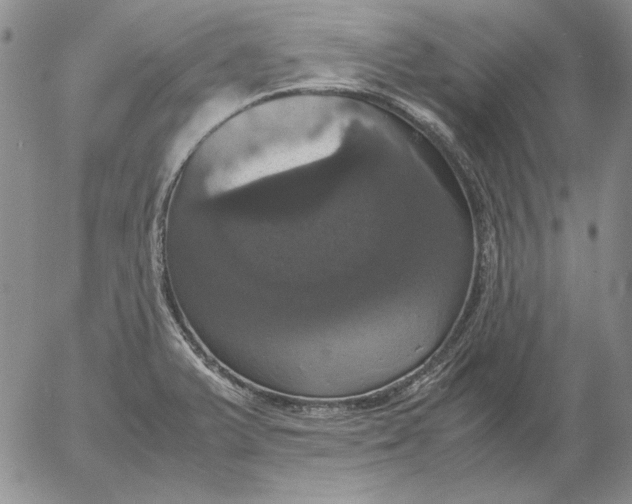 X0000054171375200508101749.png