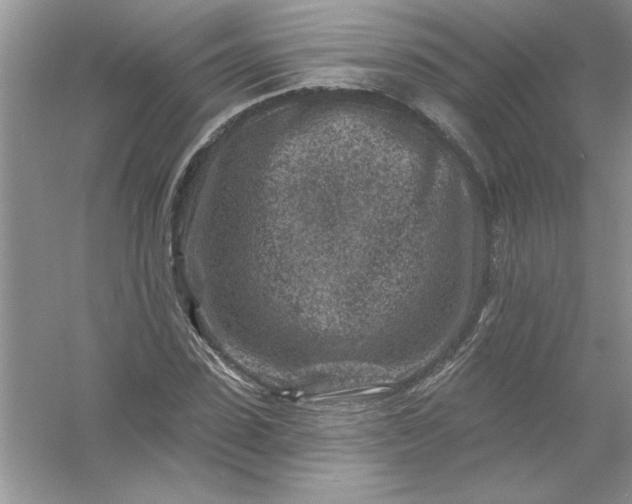 X0000054300923200508042306.png
