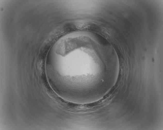X0000054650319200508091648.png