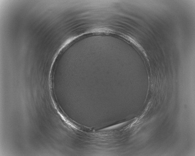 X0000054351037200508190123.png