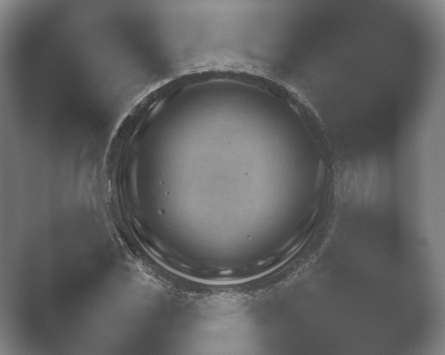 X0000052281117200507132021.png
