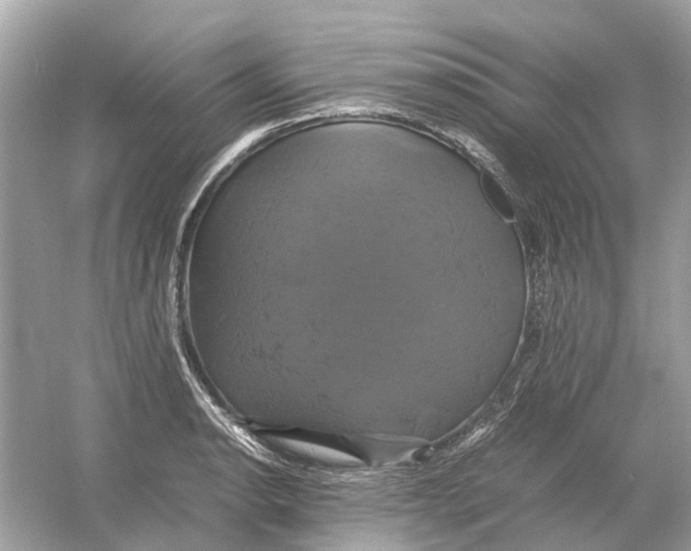 X0000054351134200508190121.png